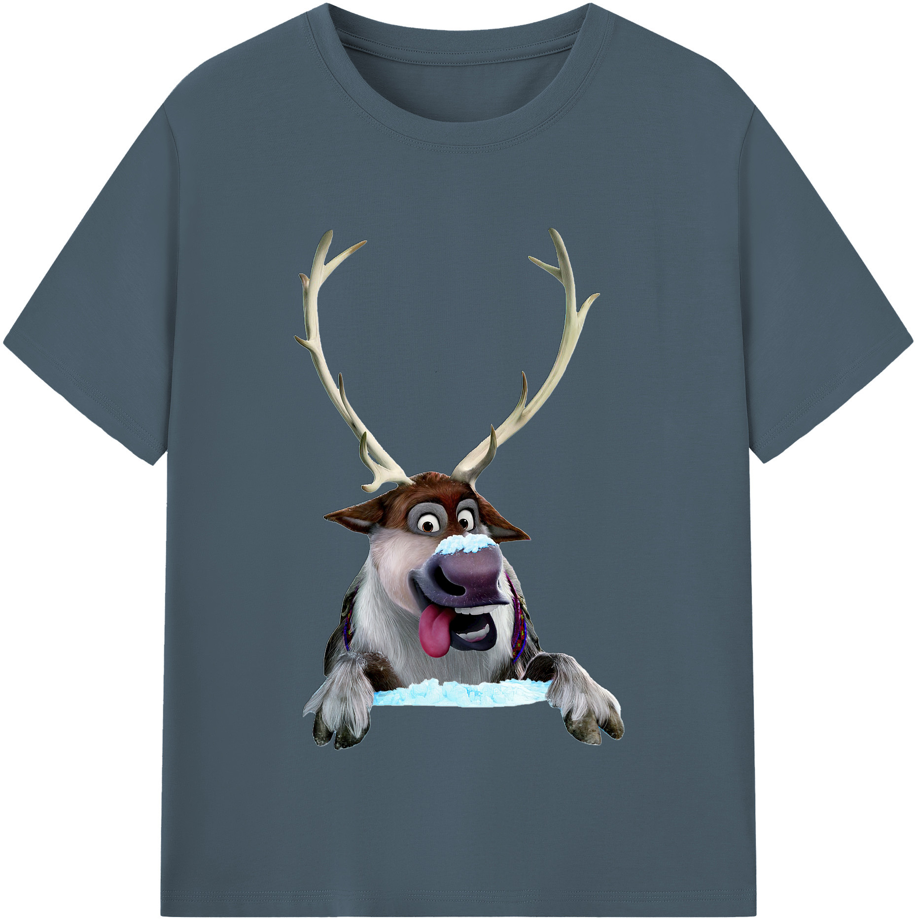 （画像用） アナと雪の女王 アンナ エルサ Frozen Anna Elsa 綿100％半袖Tシャツ（フロントプリント）